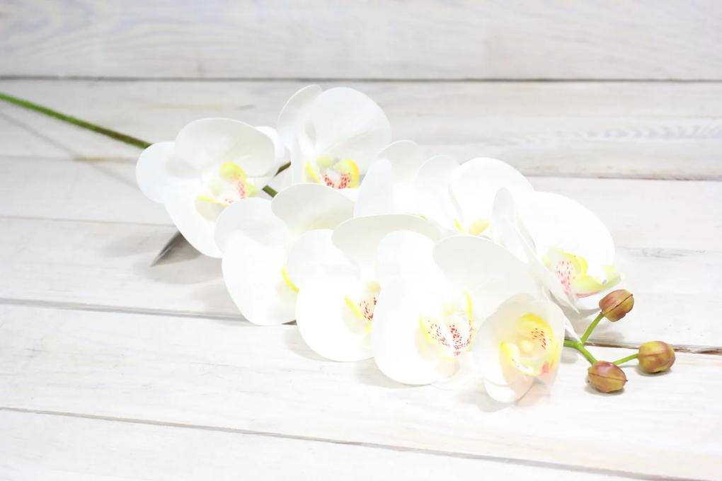 Umelá orchidea - biela (v. 80 cm) - moderný štýl