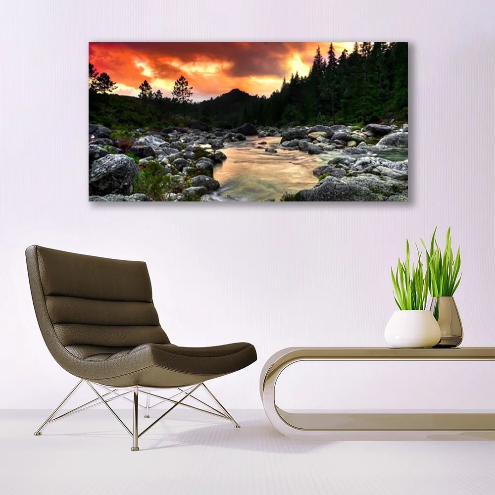 Obraz plexi Jazero kamene les príroda 120x60 cm