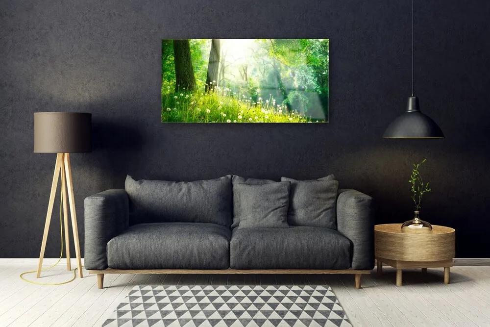 Skleneny obraz Lúka príroda rastlina 120x60 cm