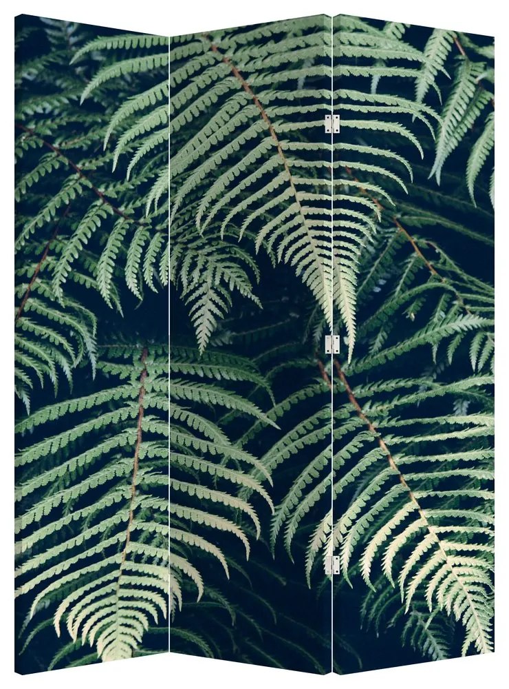 Paraván - Listy papradí (126x170 cm)