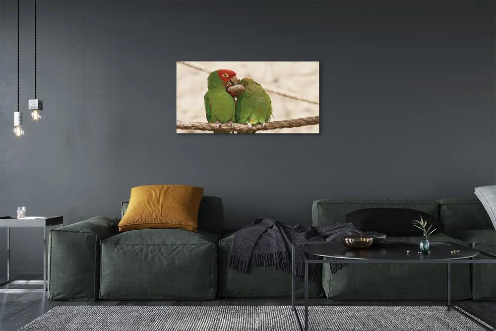 Obraz na plátne zelené papagáje 100x50 cm