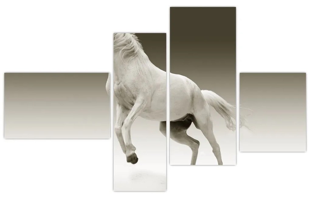 Obrazy bieleho koňa