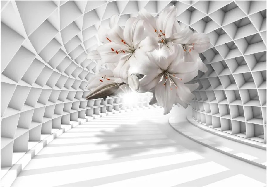 Samolepiaca fototapeta - Kvety v tuneli 245x175