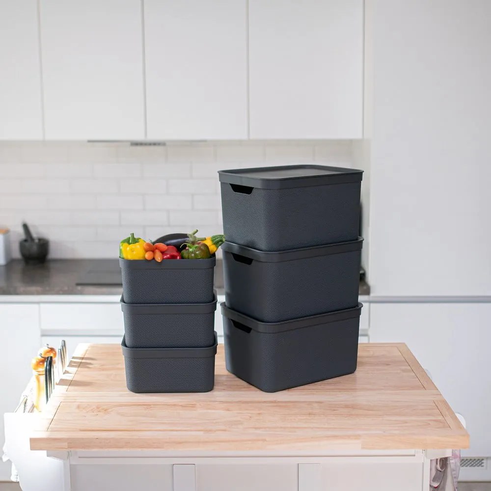 Plastový úložný box s vekom Deco - Rotho