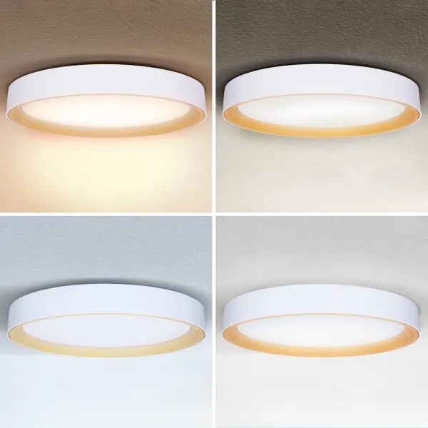 Brilagi - stmievateľné LED stropné svietidlo LARIOS LED/72W/230V biela pr. 59 cm + diaľkové ovládanie