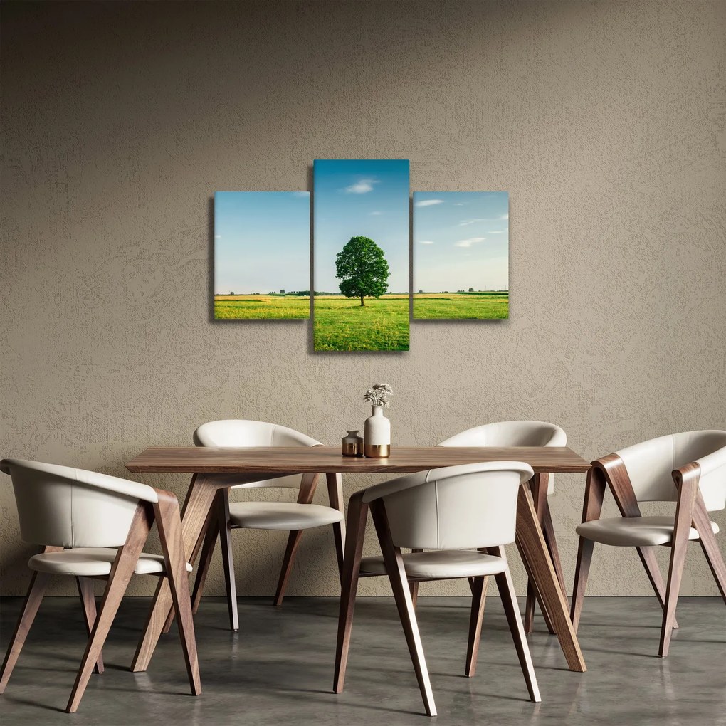 Obraz stromu na lúke (90x60 cm)