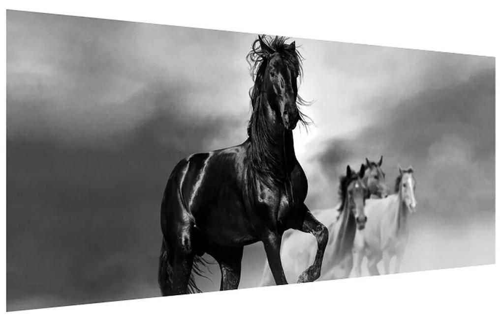 Obraz koňa (120x50 cm)