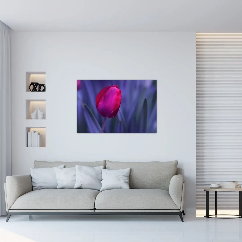 Obraz pupete tulipánu (90x60 cm)