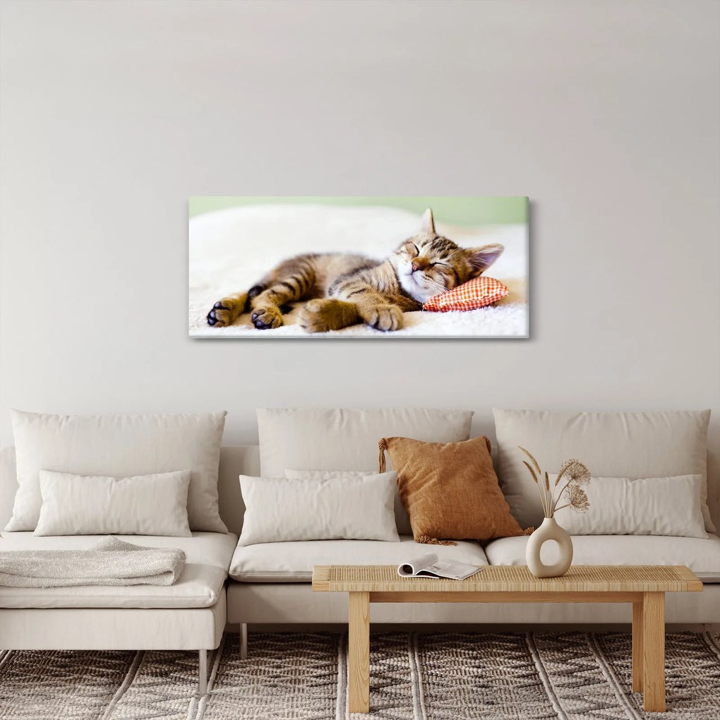 Obraz - Spiace mačiatko (120x50 cm)