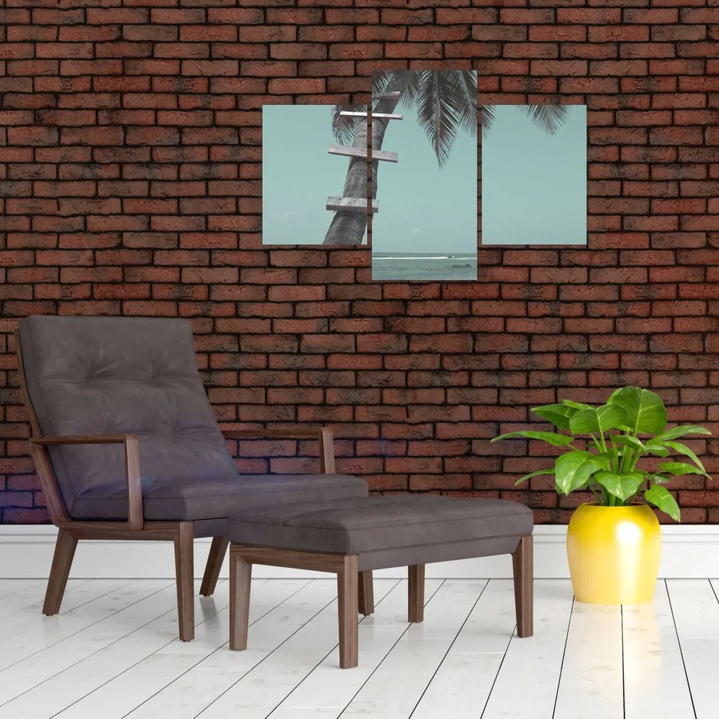 Obraz - Palma v Karibiku (90x60 cm)