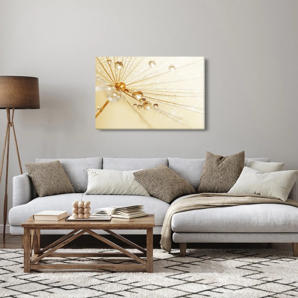 Obraz - Makro fotografie púpavy (90x60 cm)