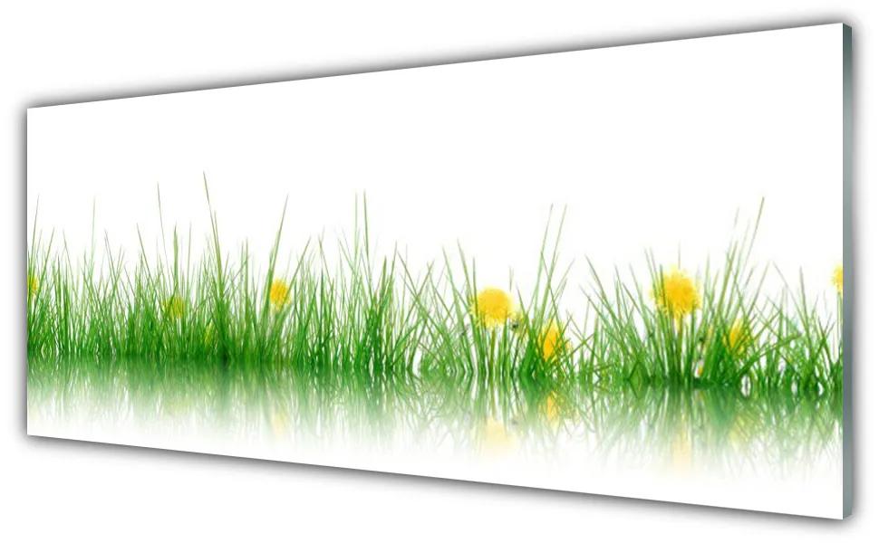 Obraz plexi Príroda tráva kvety 125x50 cm