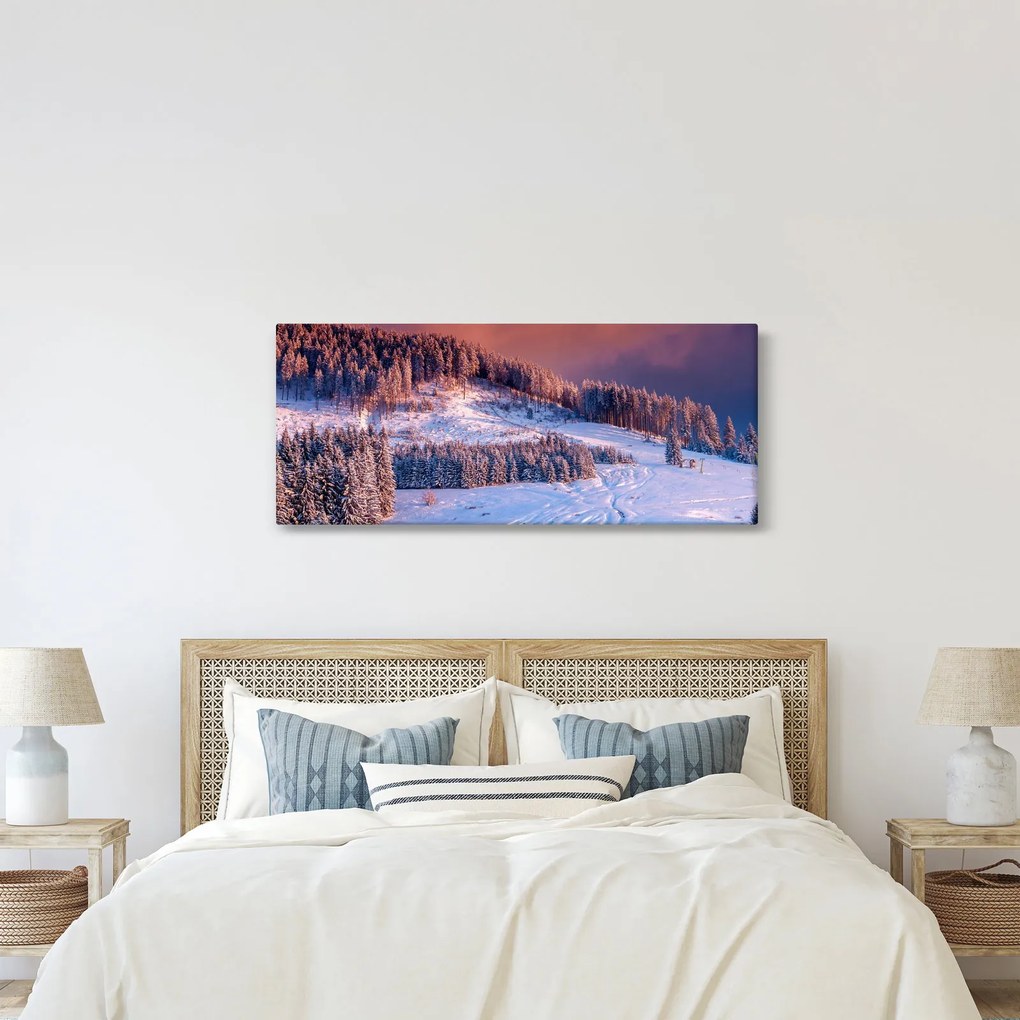 Obraz zimnej krajiny (120x50 cm)