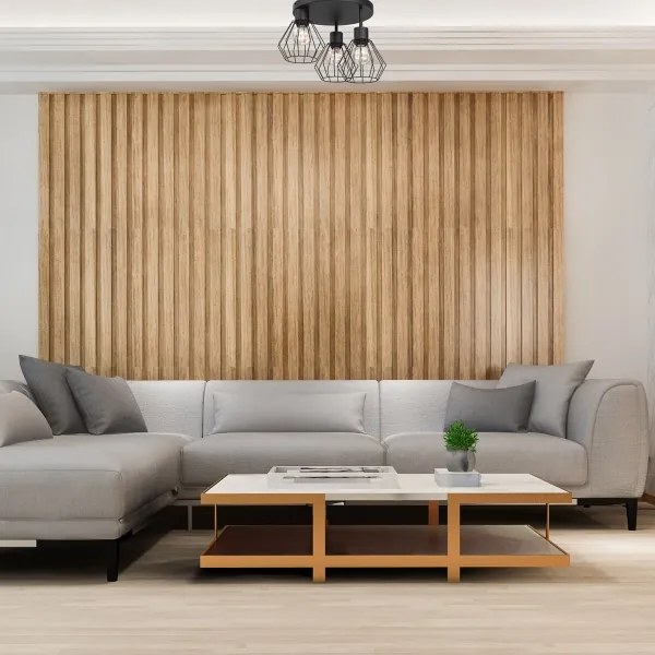 Stropné svietidlo PARKLA 3xE27/15W/230V čierna