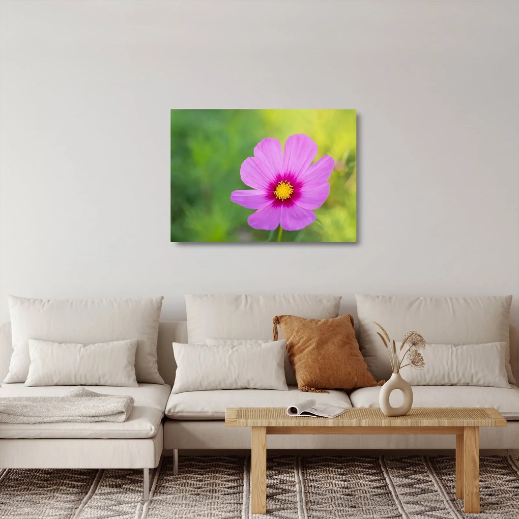 Sklenený obraz - lúčna kvetina (70x50 cm)