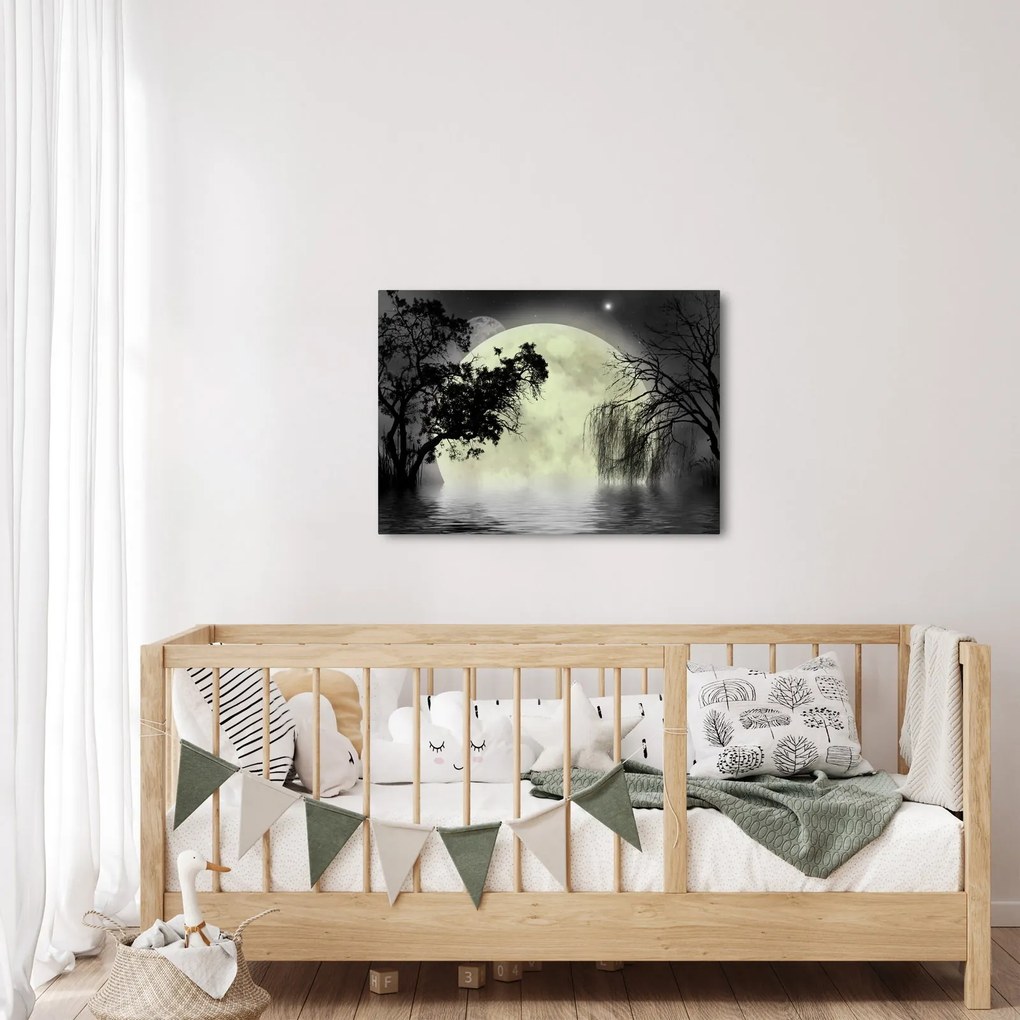 Obraz - Spln nad hladinou, čiernobiely variant (70x50 cm)