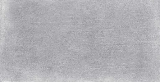 Obklad Fineza Raw sivá 30x60 cm mat WADVK491.1