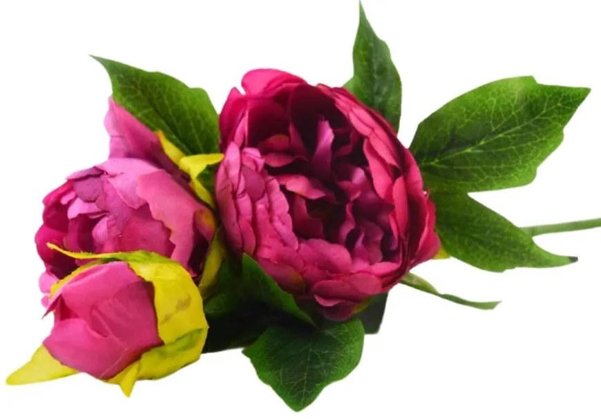 Kytica Paeonia 37cm fuksia A2150064