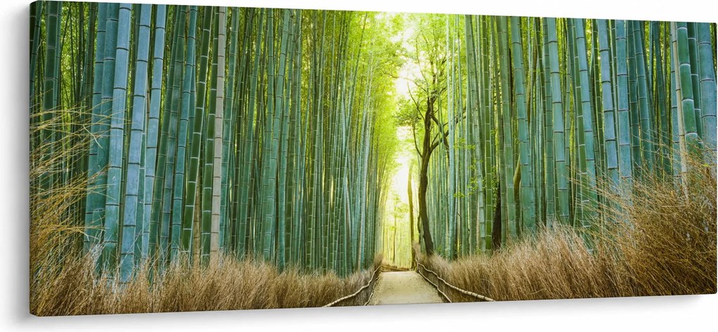 Obraz - Ulička s bambusmi (120x50 cm)