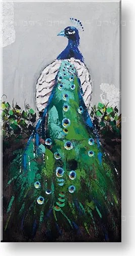 Maľovaný obraz na stenu PÁV 60x120 cm