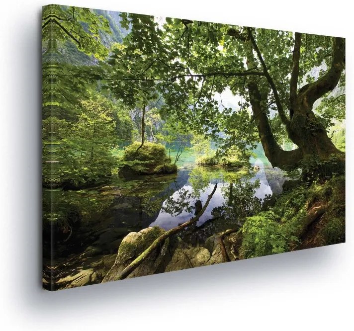 GLIX Obraz na plátne - Forest Waterfalls II 100x75 cm