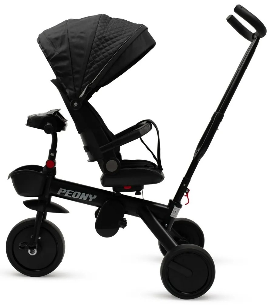 Detská trojkolka Baby Mix Peony EVA čierna