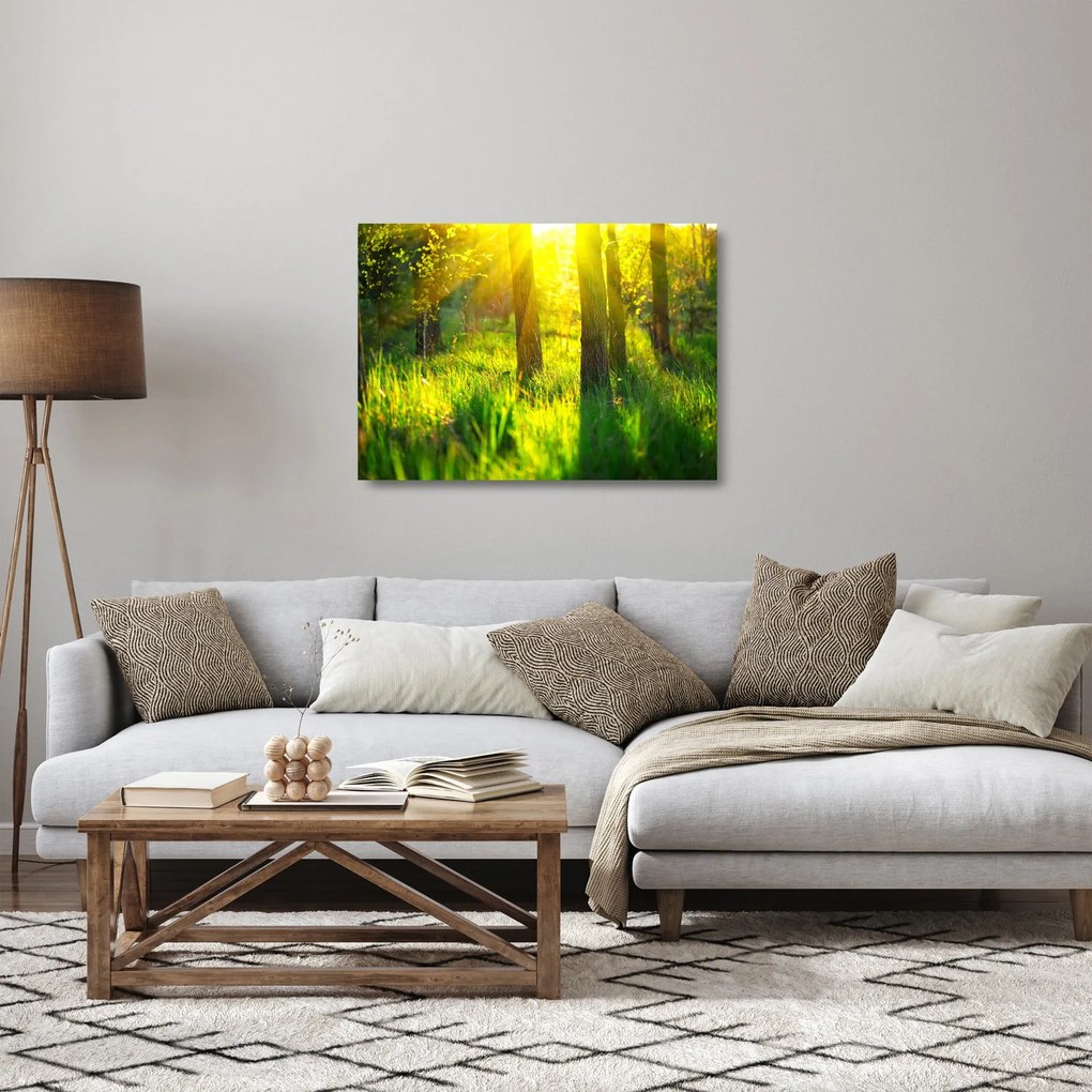 Sklenený obraz - Jarné prebúdzanie lesa (70x50 cm)