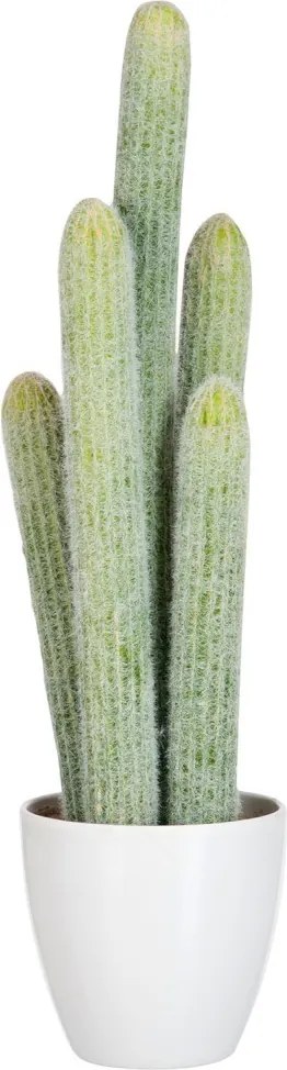 Okrasný kaktus v kvetináči - 16*14*54cm