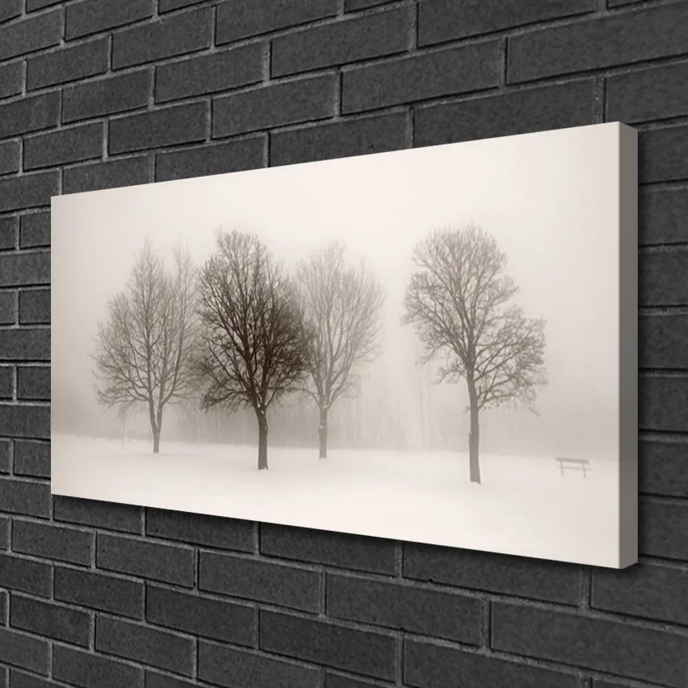 Obraz Canvas Sneh stromy príroda 140x70 cm