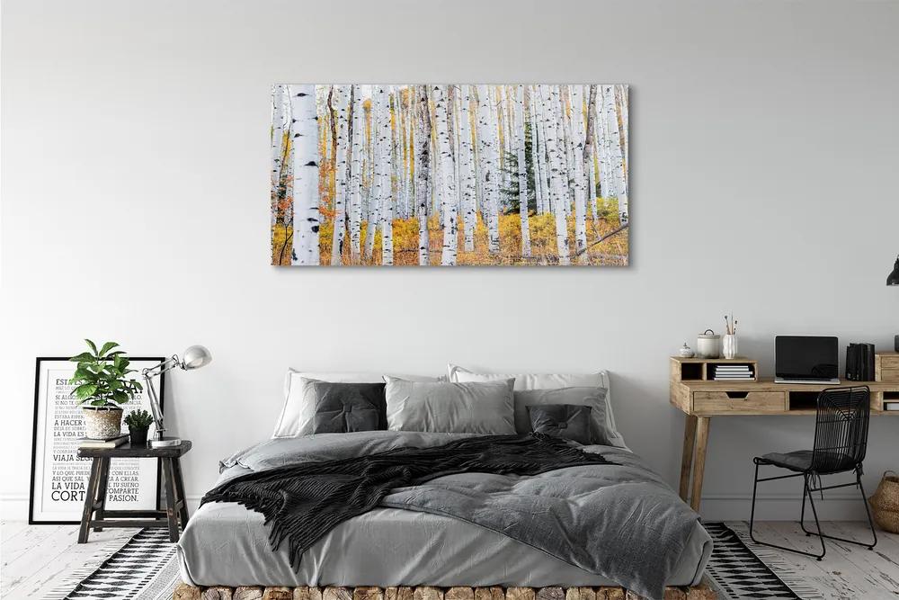 Obraz plexi Jesene breza 140x70 cm