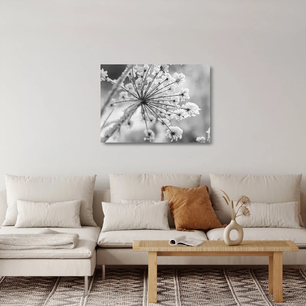 Sklenený obraz - Kvetina v zime (70x50 cm)