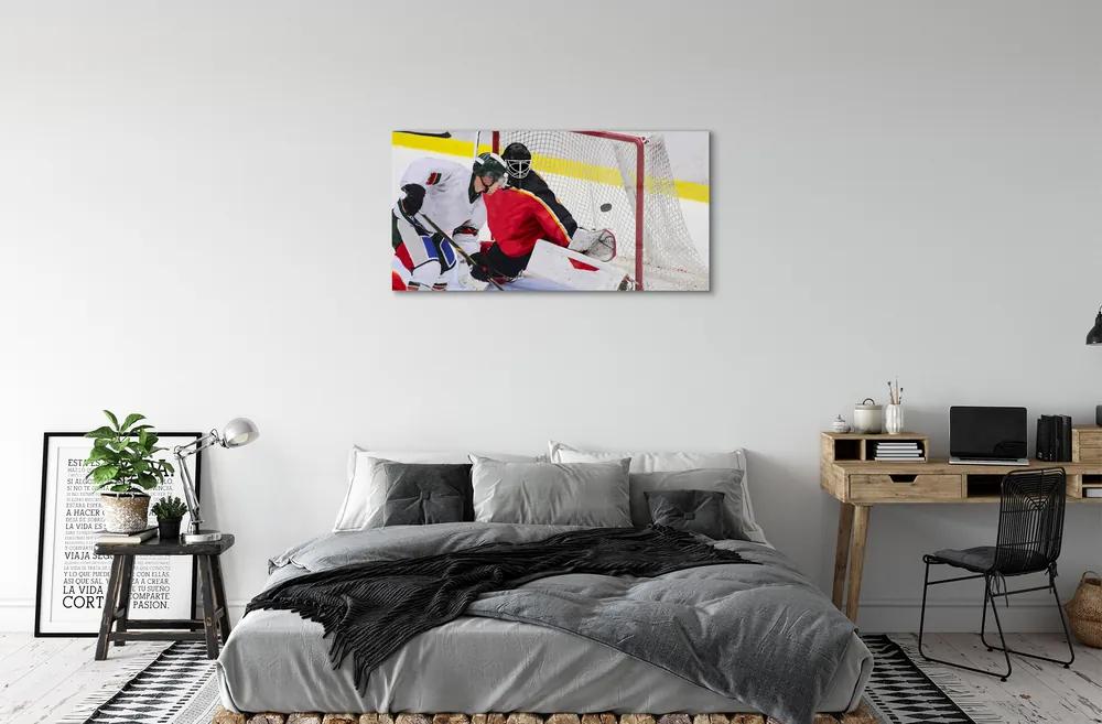 Obraz plexi Brána hokej 100x50 cm