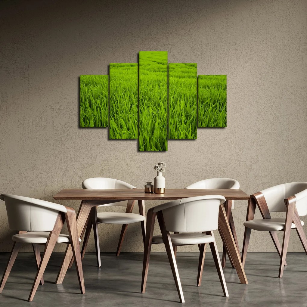 Obraz trávy (150x105 cm)