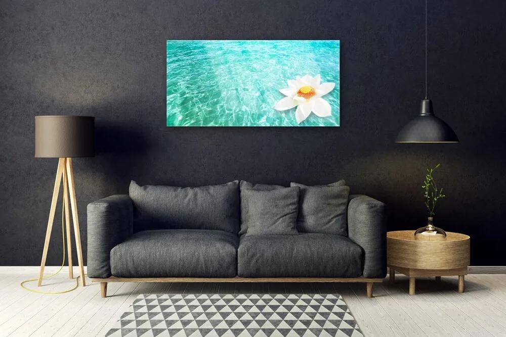 Skleneny obraz Voda kvet umenie 120x60 cm