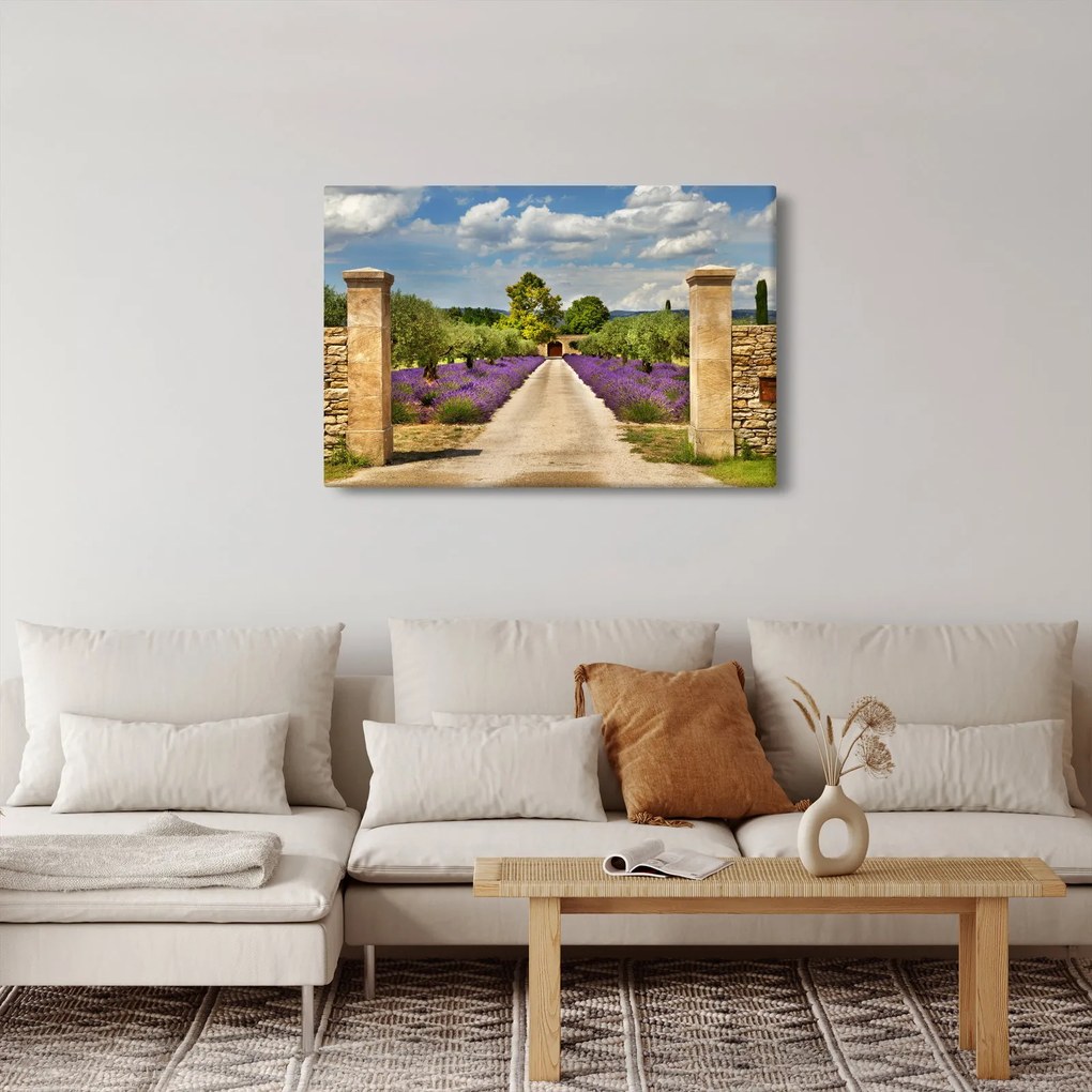Obraz - Levanduľové cesty (90x60 cm)