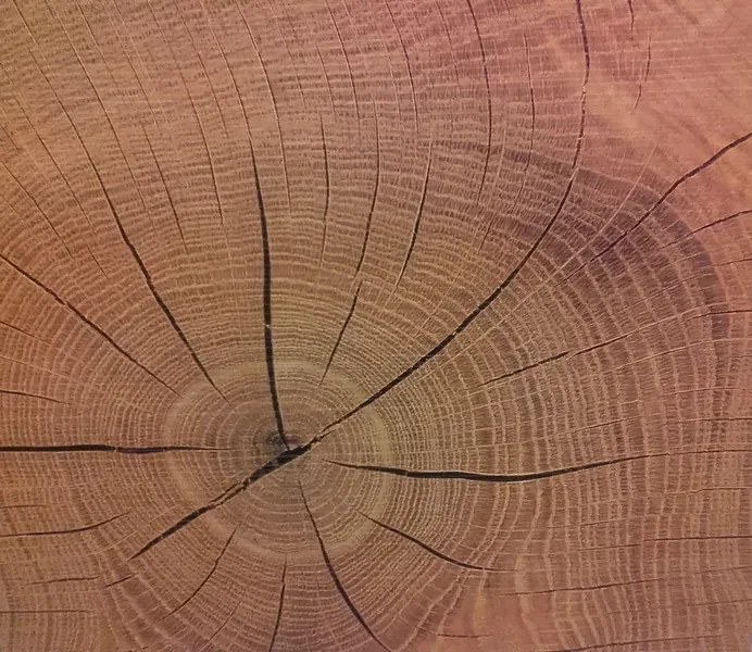 Šatníková skriňa Capri, dub wotan/biela