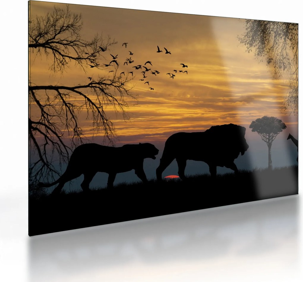 Sklenený obraz Safari (70x50 cm)