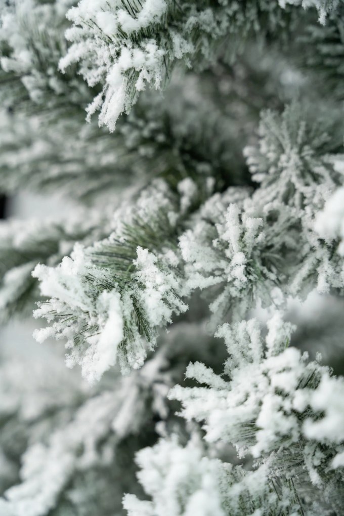 Limpol Vianočný stromček – zasnežená jedľa Gumis Výška stromčeka: 120 cm