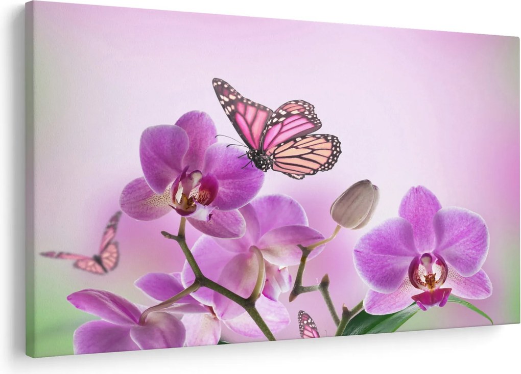 Obraz - Motýľ na kvetoch orchidey, lila (90x60 cm)