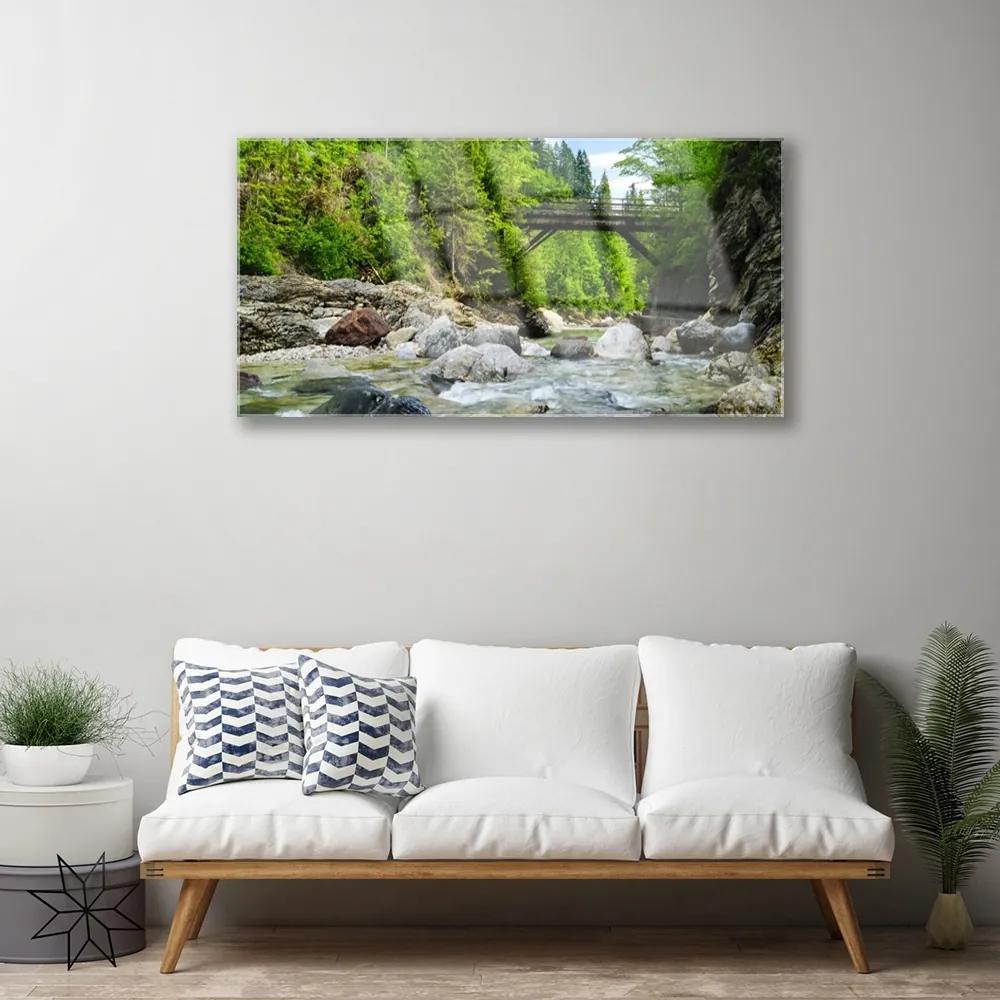 Skleneny obraz Drevený most v lese 100x50 cm
