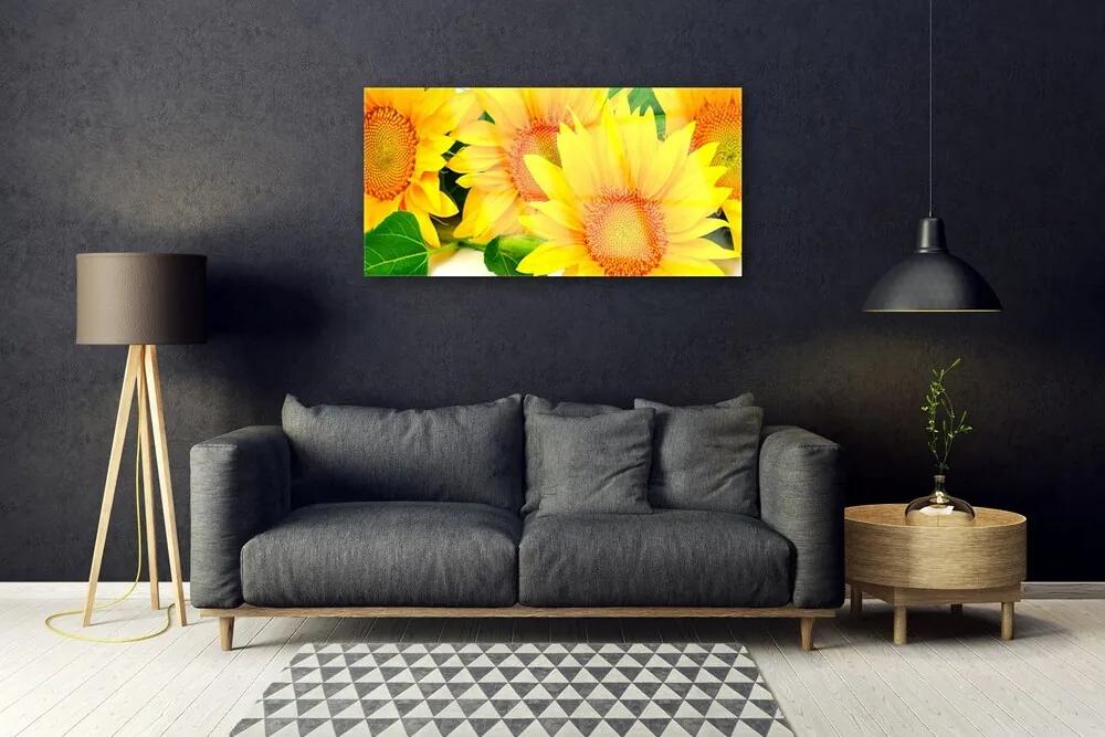 Skleneny obraz Slnečnica kvet príroda 140x70 cm