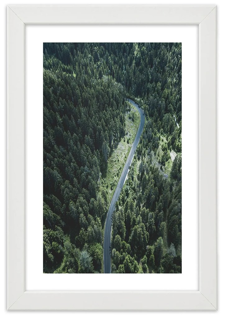 Gario Plagát Cesta v lese Farba rámu: Bez rámu, Rozmery: 40 x 60 cm