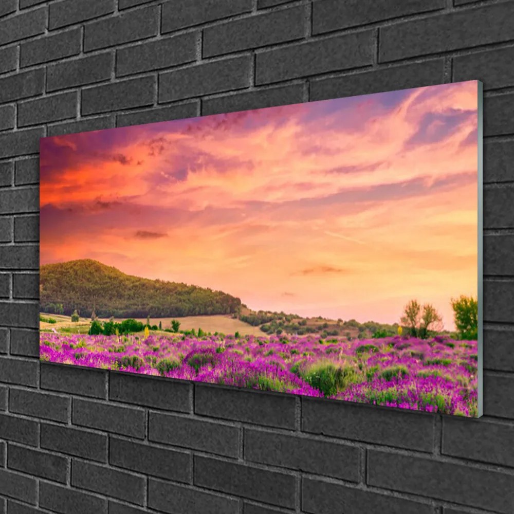 Obraz na skle Lúka kvety príroda 120x60 cm