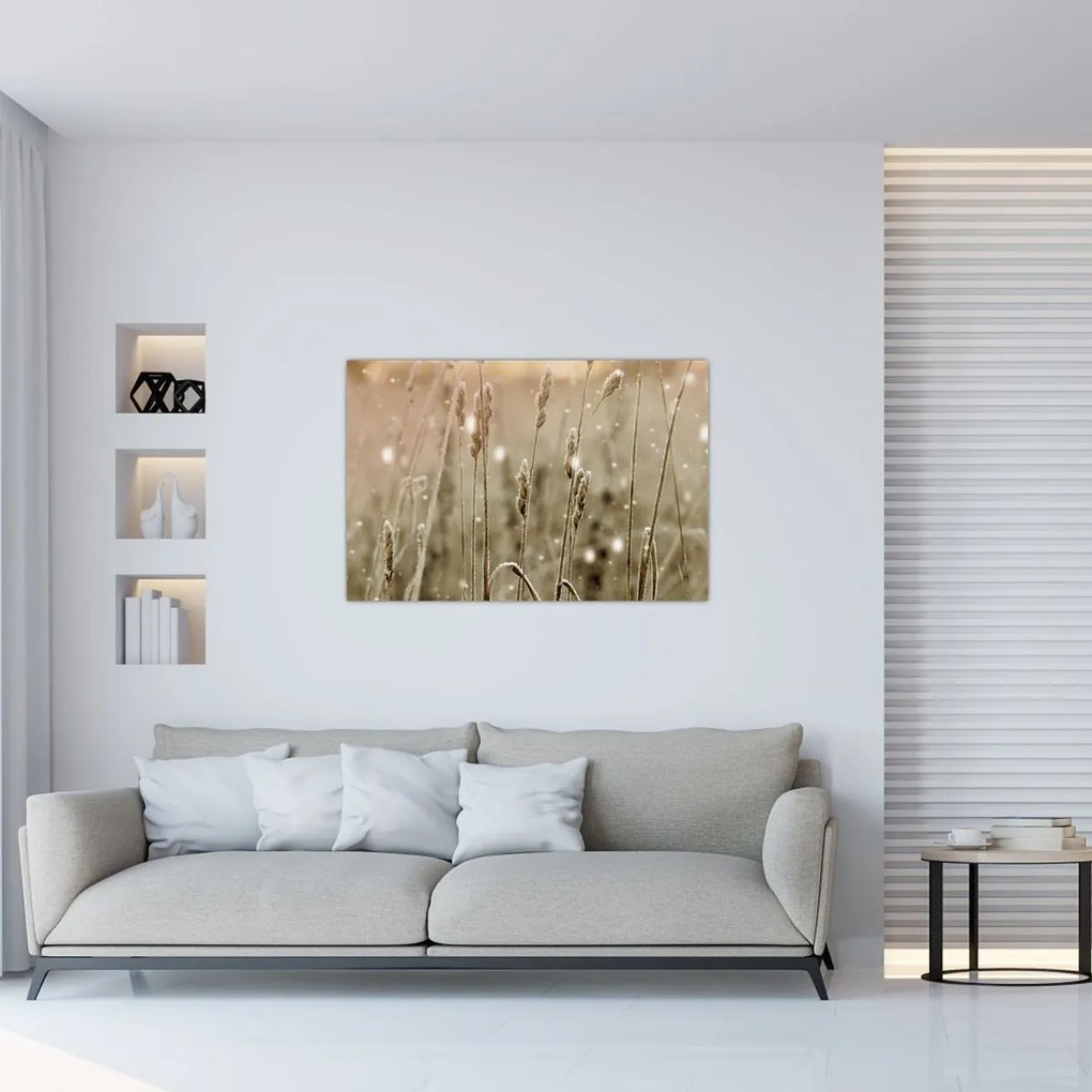 Obraz - Harmonická lúka (90x60 cm)