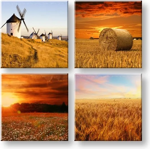 Obraz na stenu  Simple life 4 dielny XOBKOL28E42