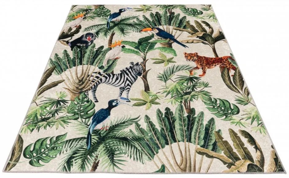 Obsession, Kusový koberec Exotic 213 multi, 120x170, viacfarebná, obývacia izba