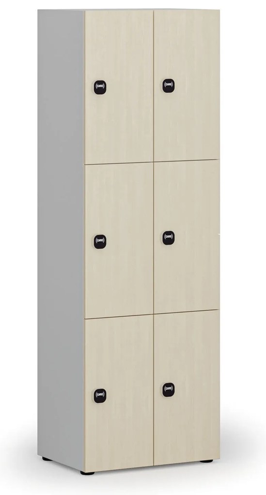 Drevená šatníková skrinka s úložnými boxmi, 6 boxov, RFID zámok, sivá/breza
