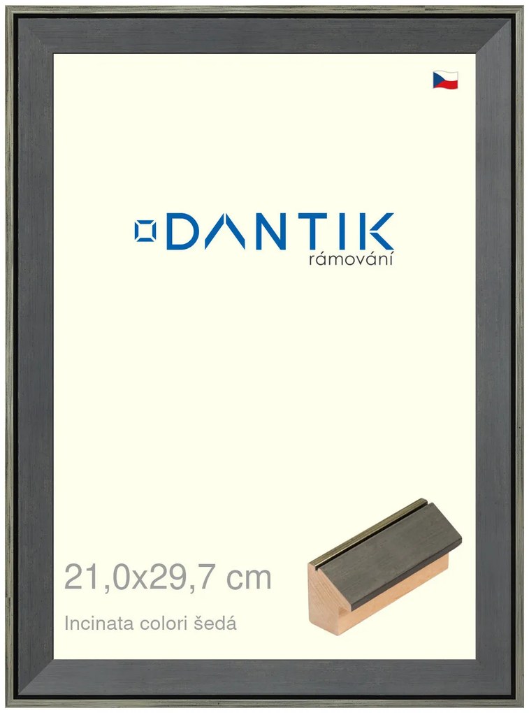 DANTIK rám na obraz 21x29,7 | INCLINATA colori šedá (Sklo Čiré)