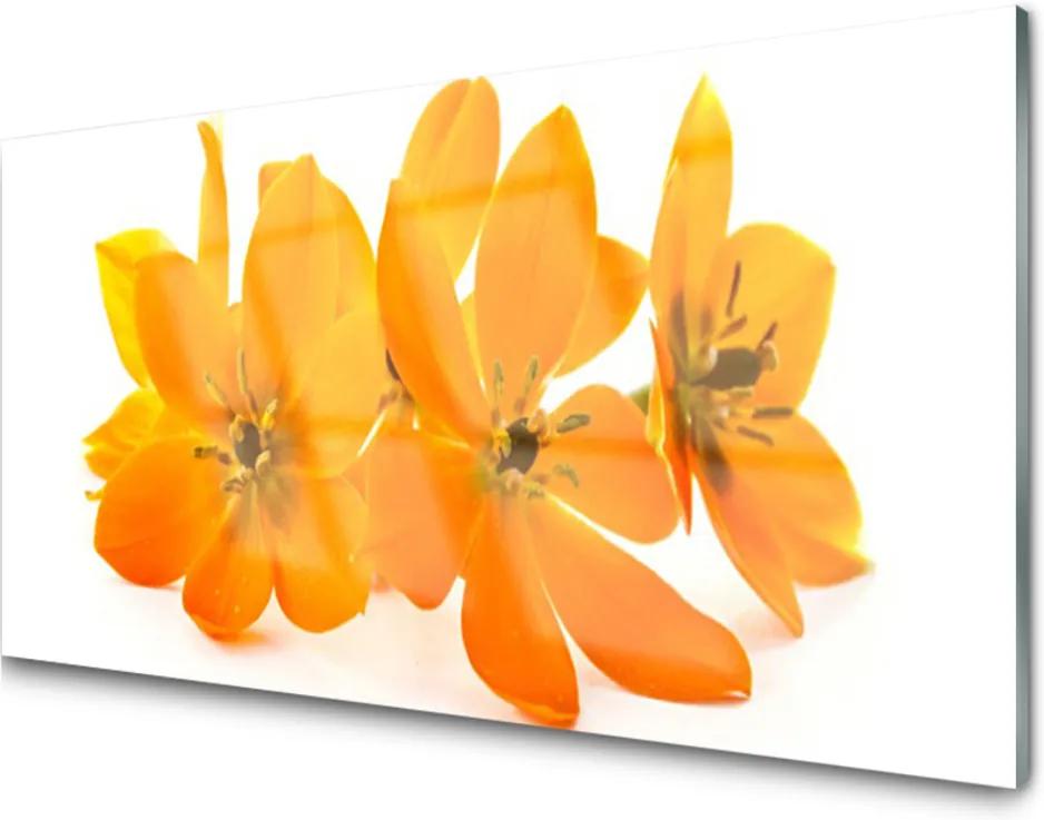 Nástenný panel  oranžové Kvety