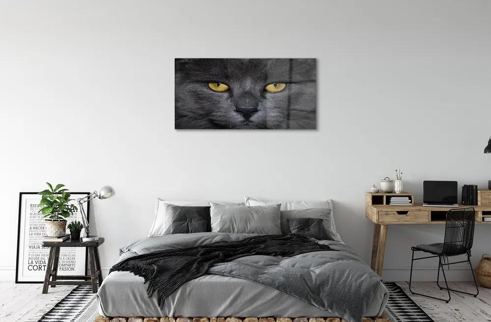 Sklenený obraz Čierna mačka 120x60 cm